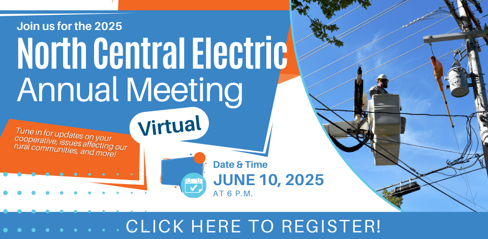 Annual Meeting