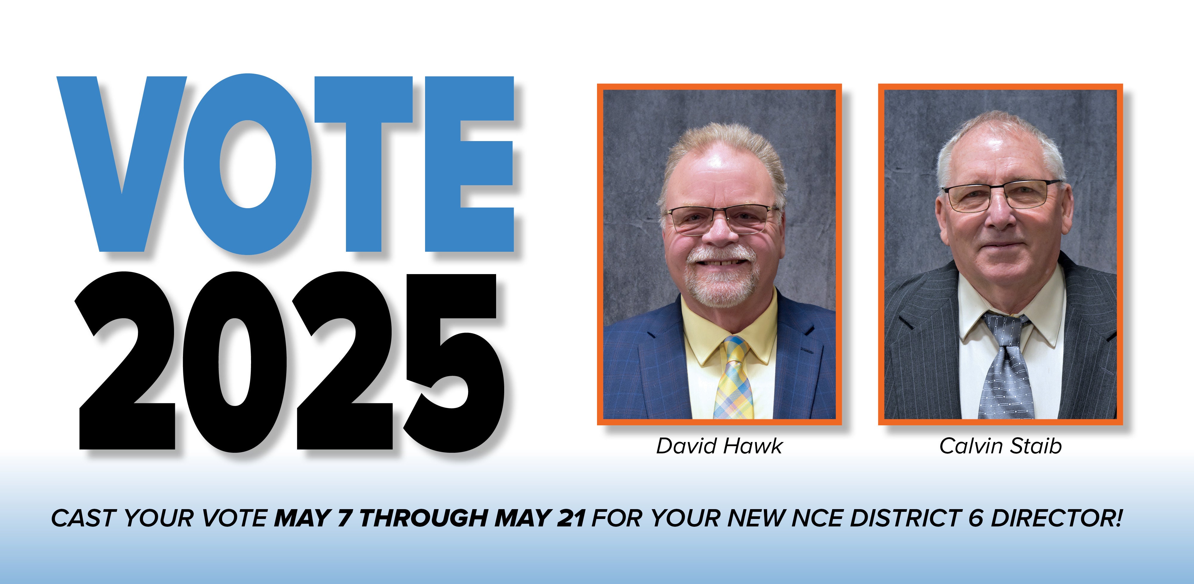 2025 election